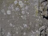 image of grave number 833536